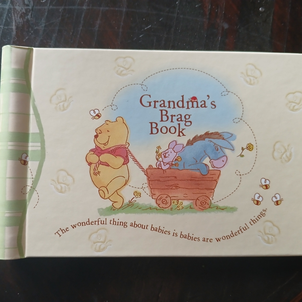 Vtg Winnie the Pooh Grandma's "Brag Book" Photo Album